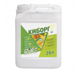 Киборг, КС