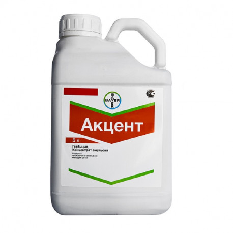 Акцент, КЭ