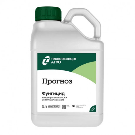 Прогноз, КЭ